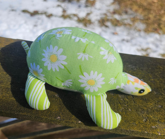 Rin the Turtle