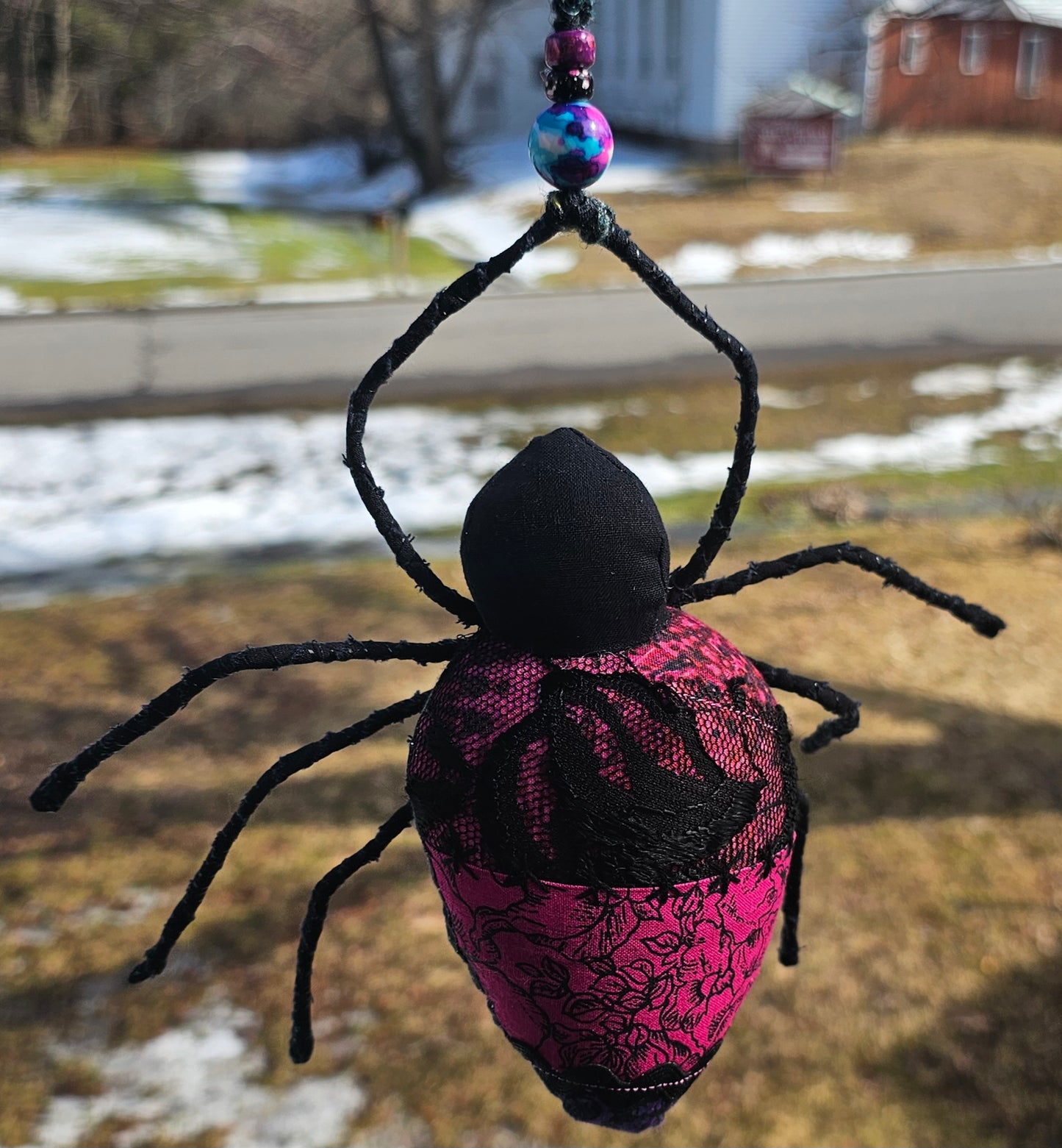 Charly the Spider