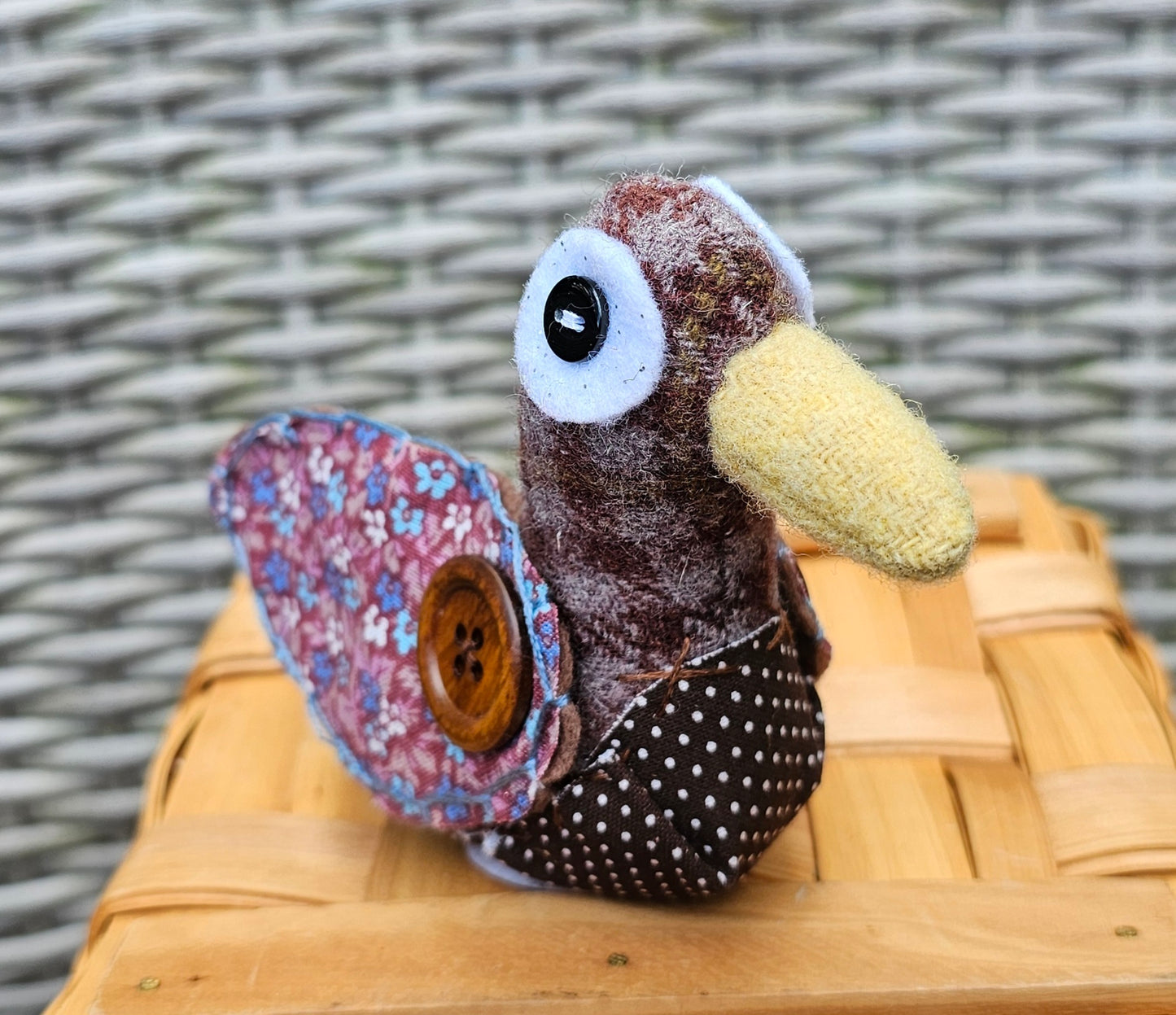 Wool Duck