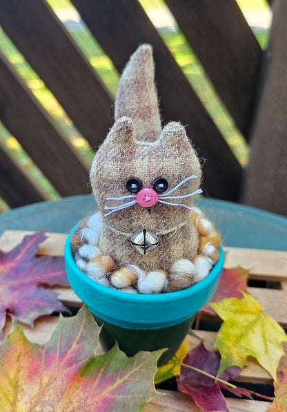 Kitty in a Pot