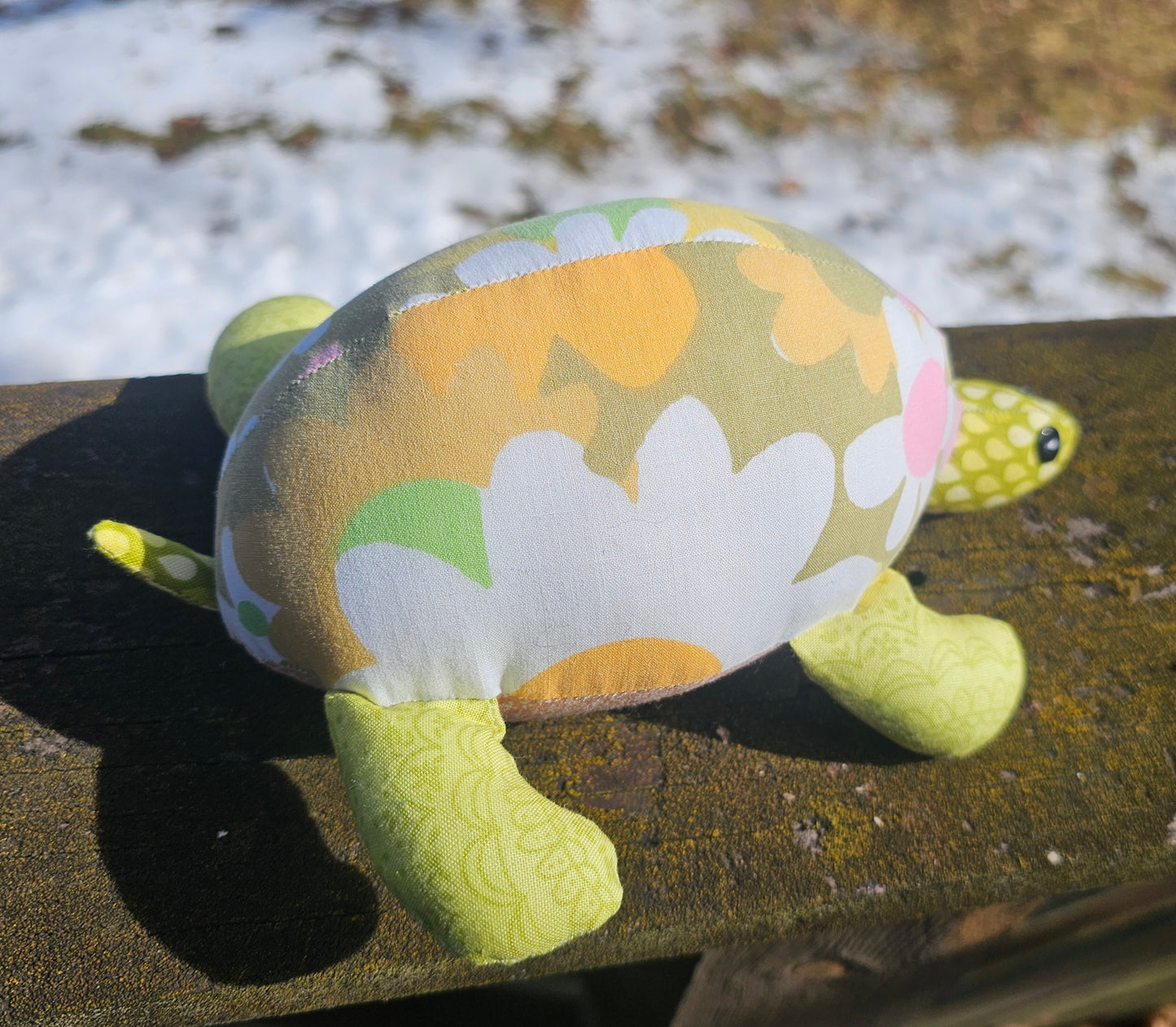 Olive the Turtle