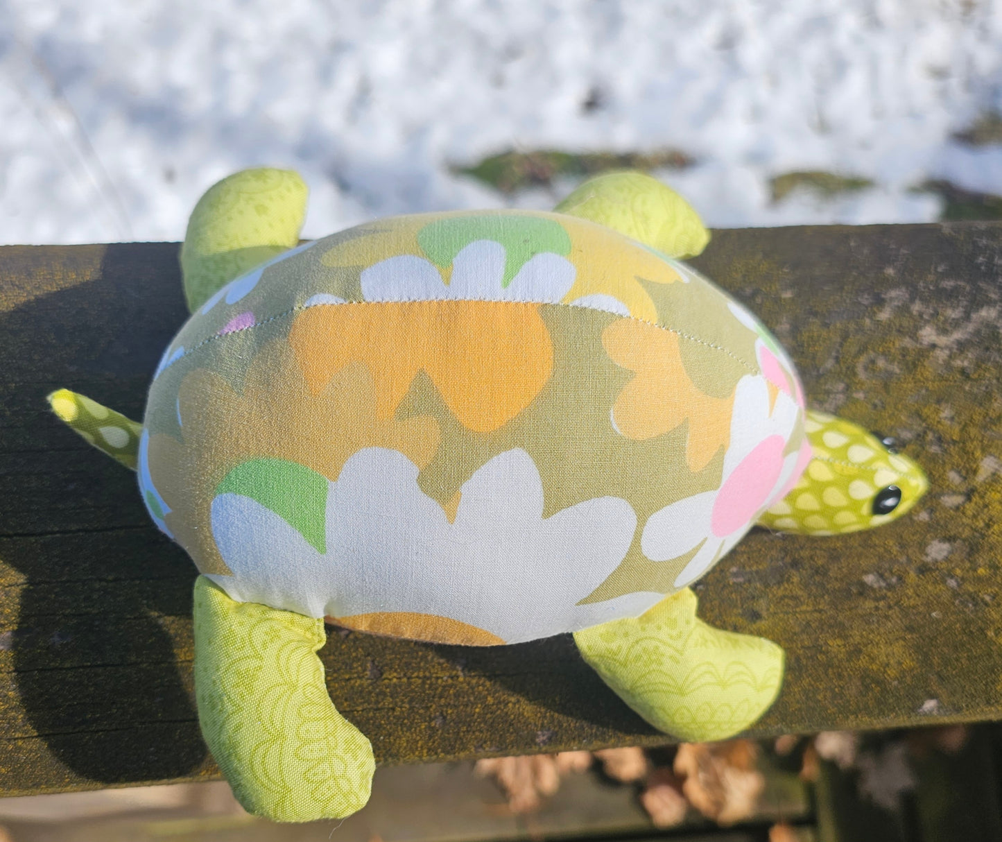 Olive the Turtle