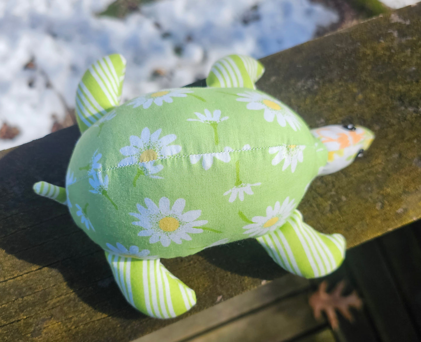 Rin the Turtle