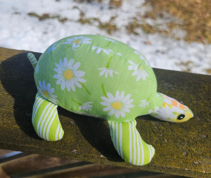 Rin the Turtle