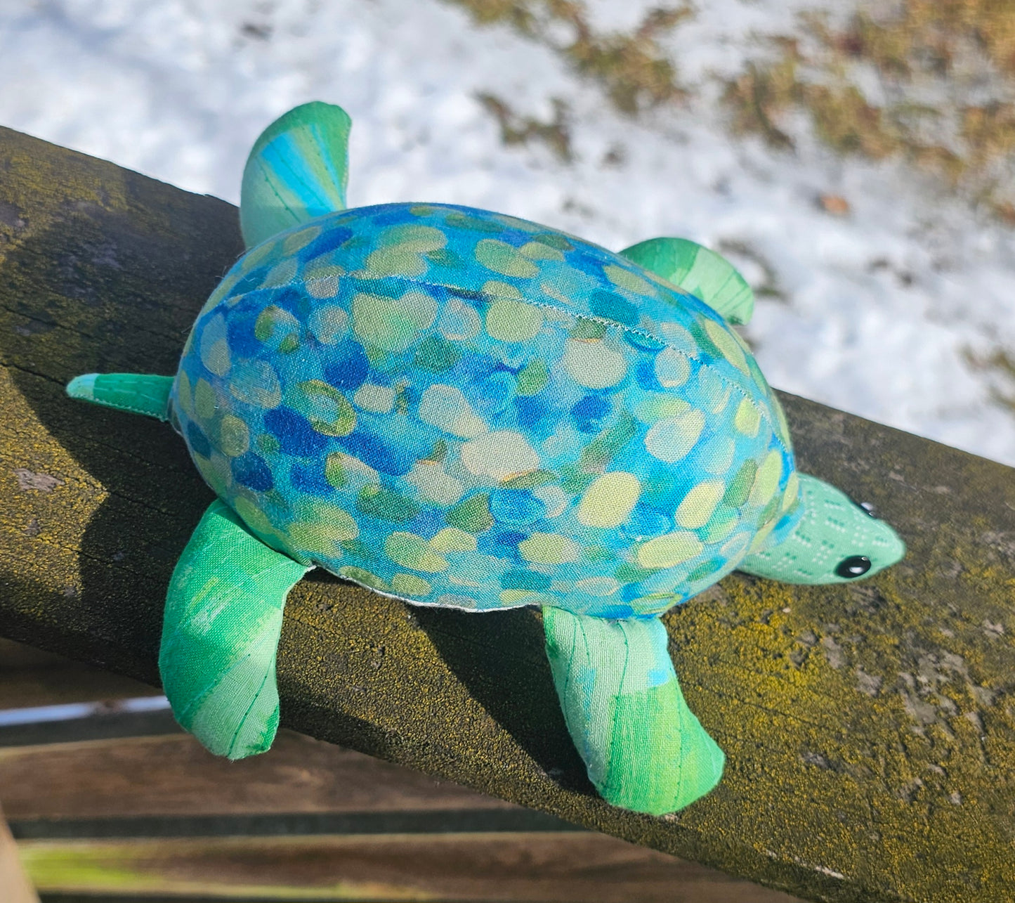 Holmes the Turtle