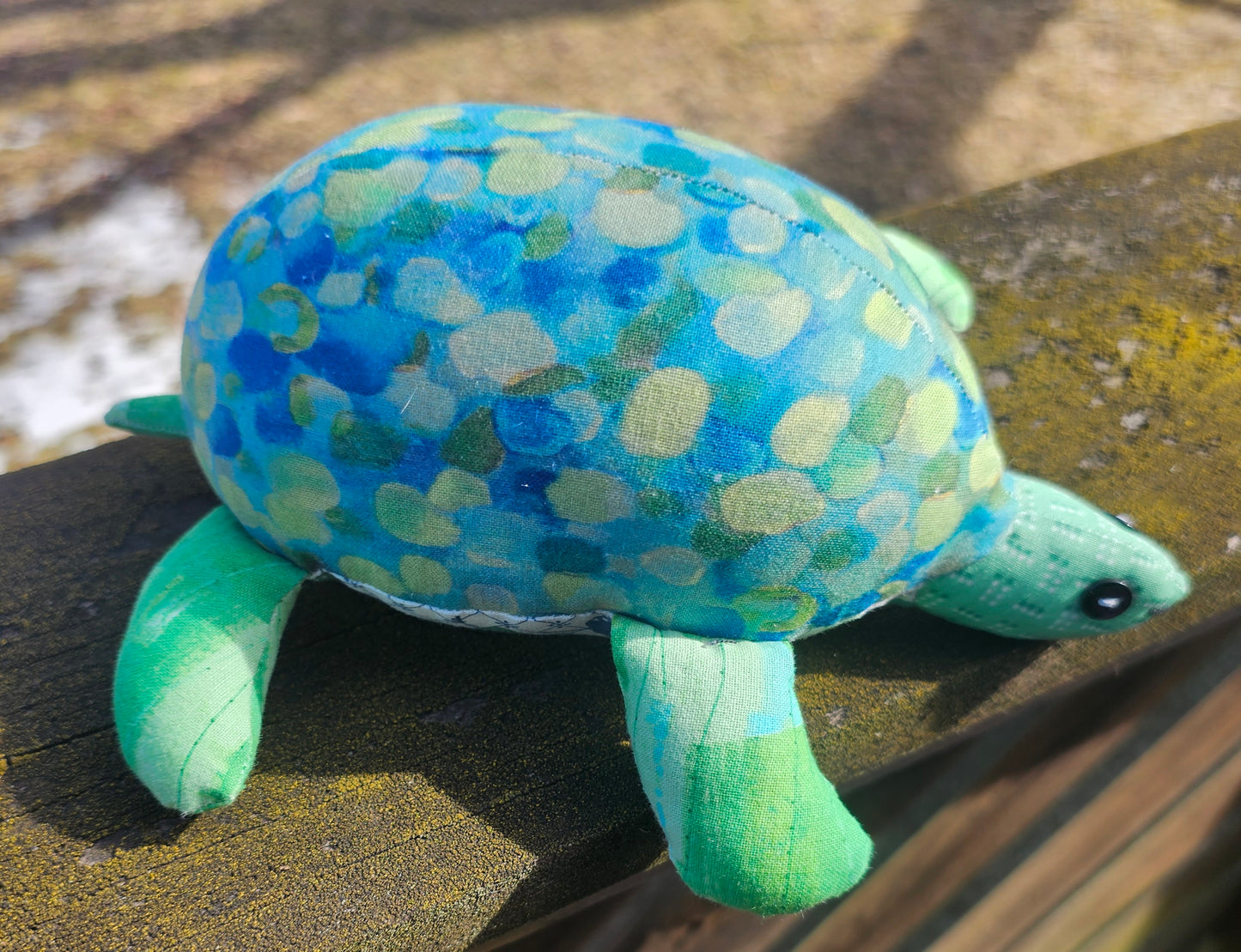 Holmes the Turtle