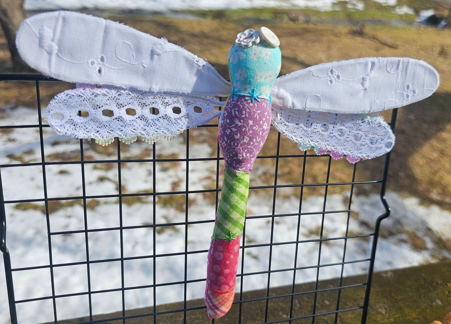 Yola the Dragonfly