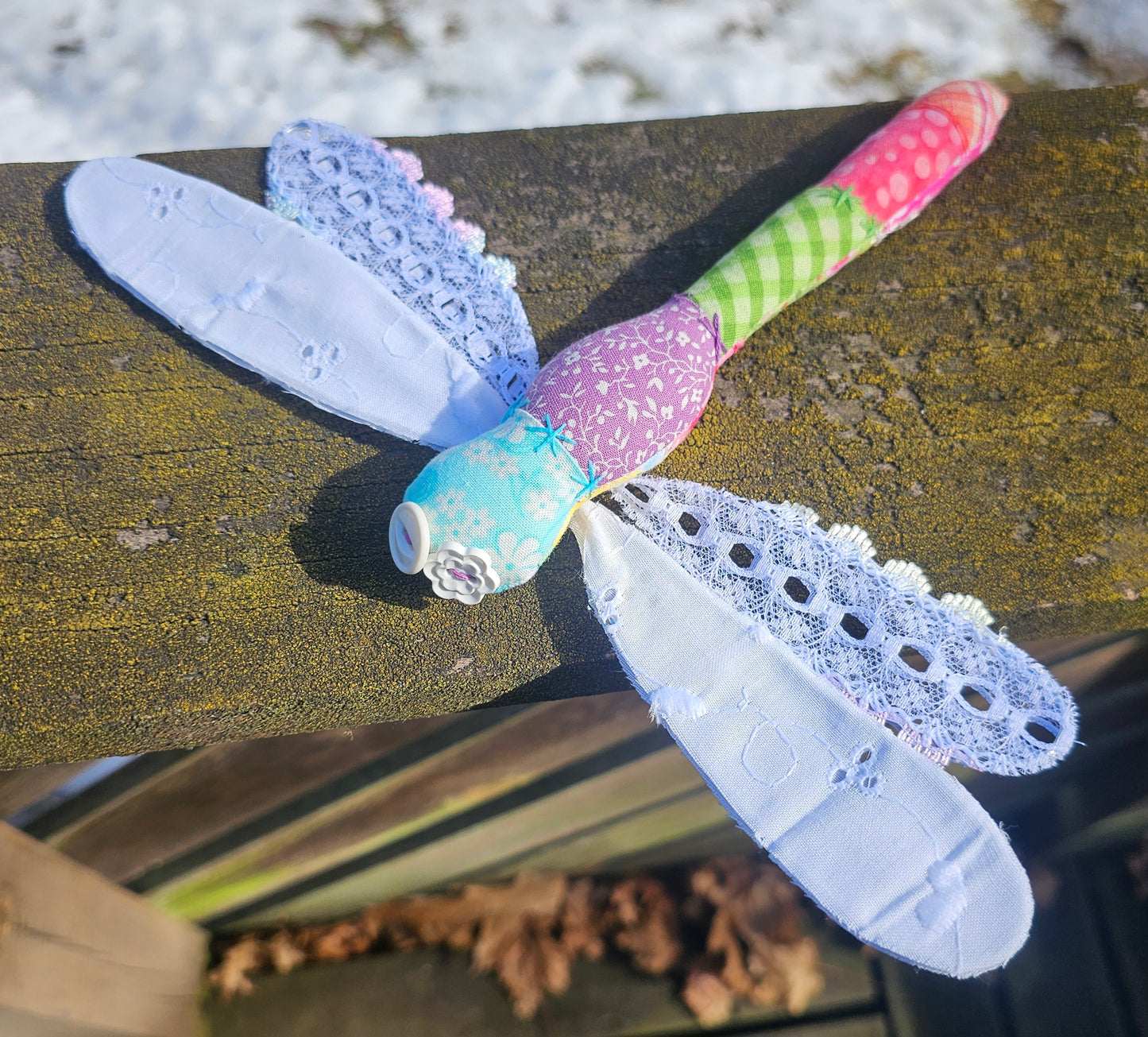 Yola the Dragonfly