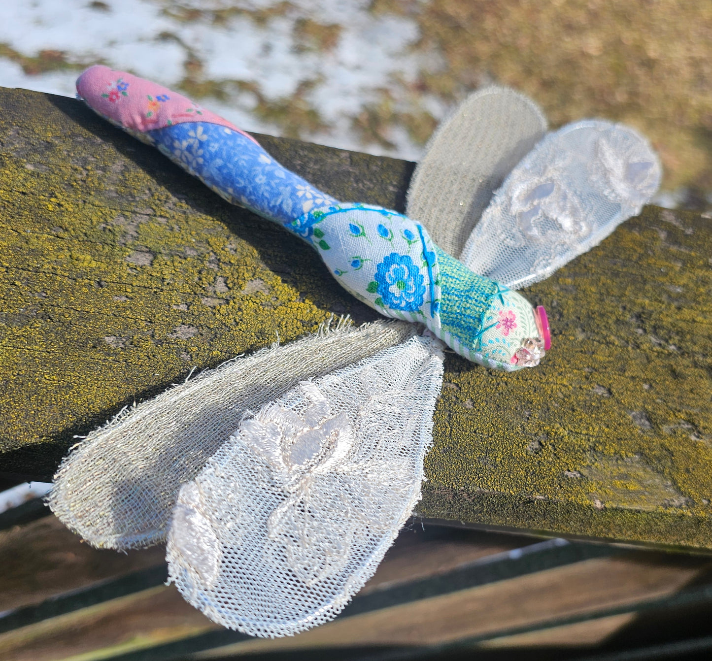 Meera the Dragonfly