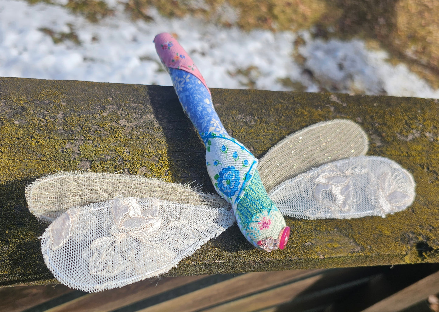 Meera the Dragonfly
