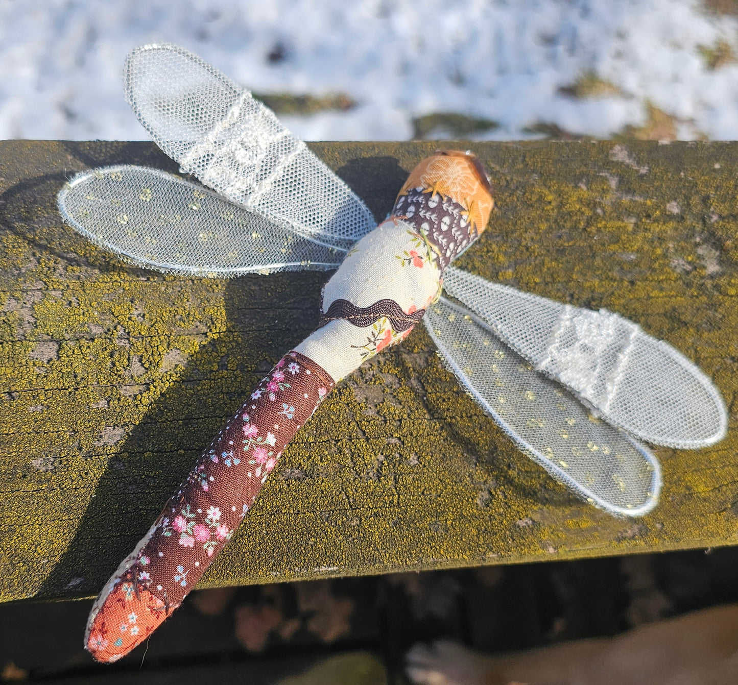 Flurry the Dragonfly