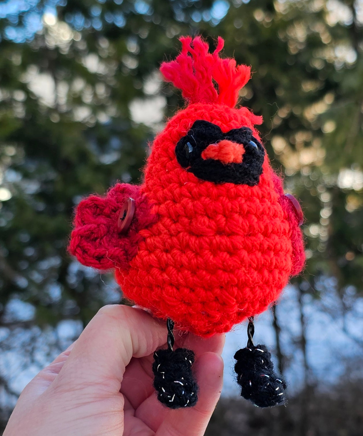 Cardinal Buddy