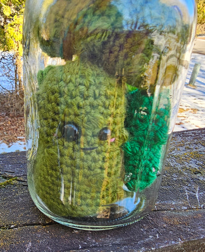 Canned Pickles