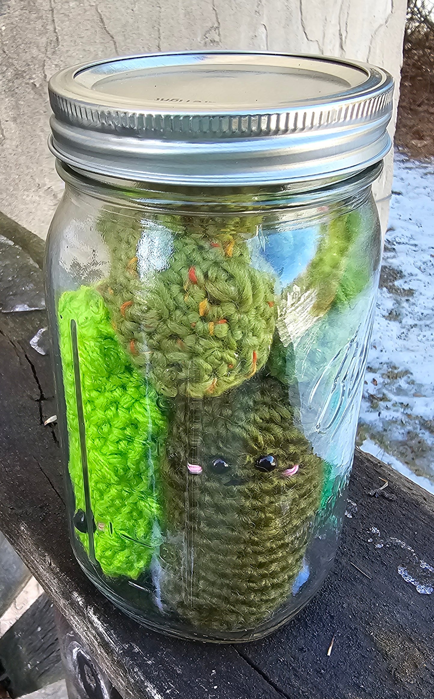 Canned Pickles