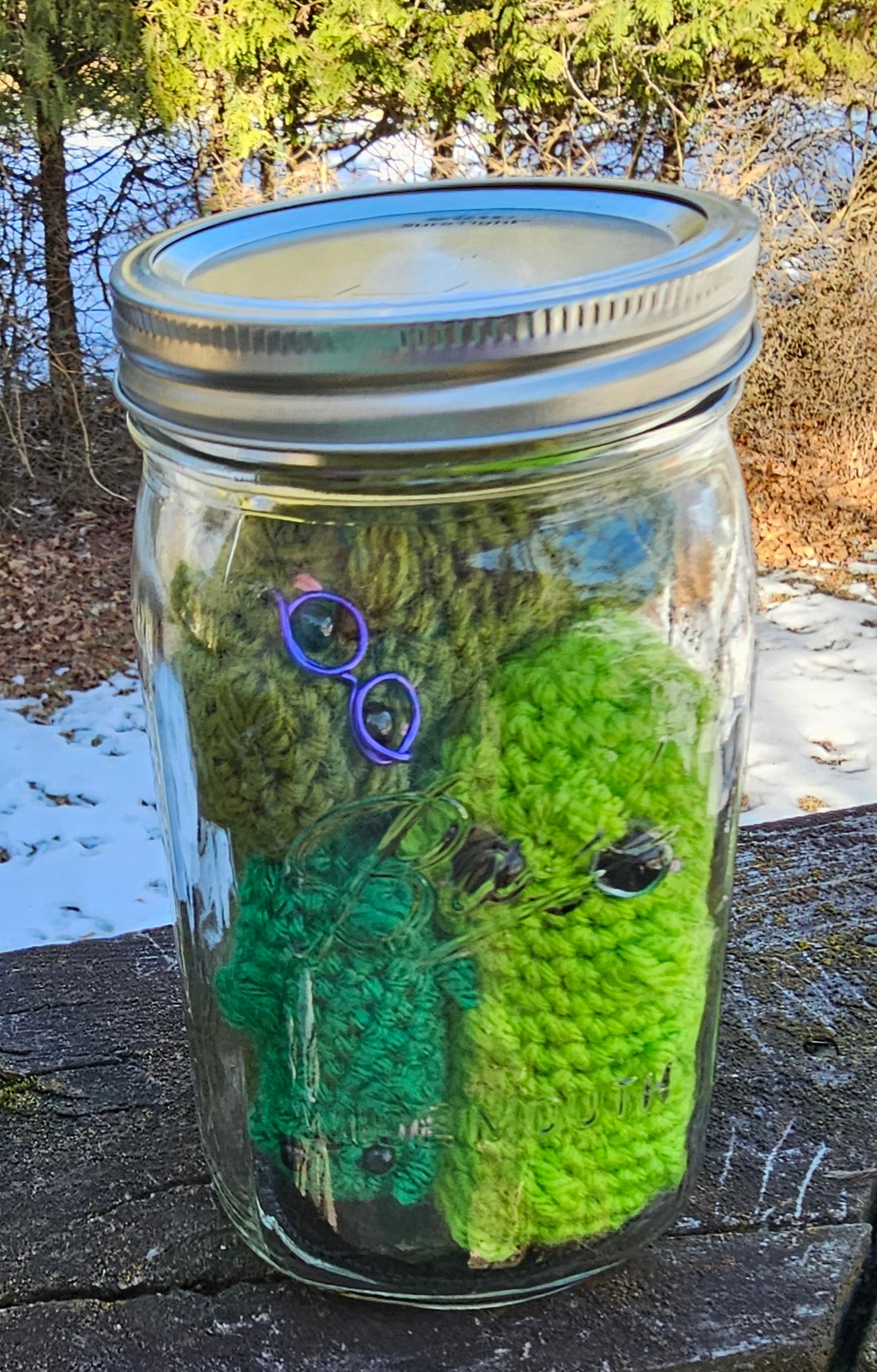 Canned Pickles