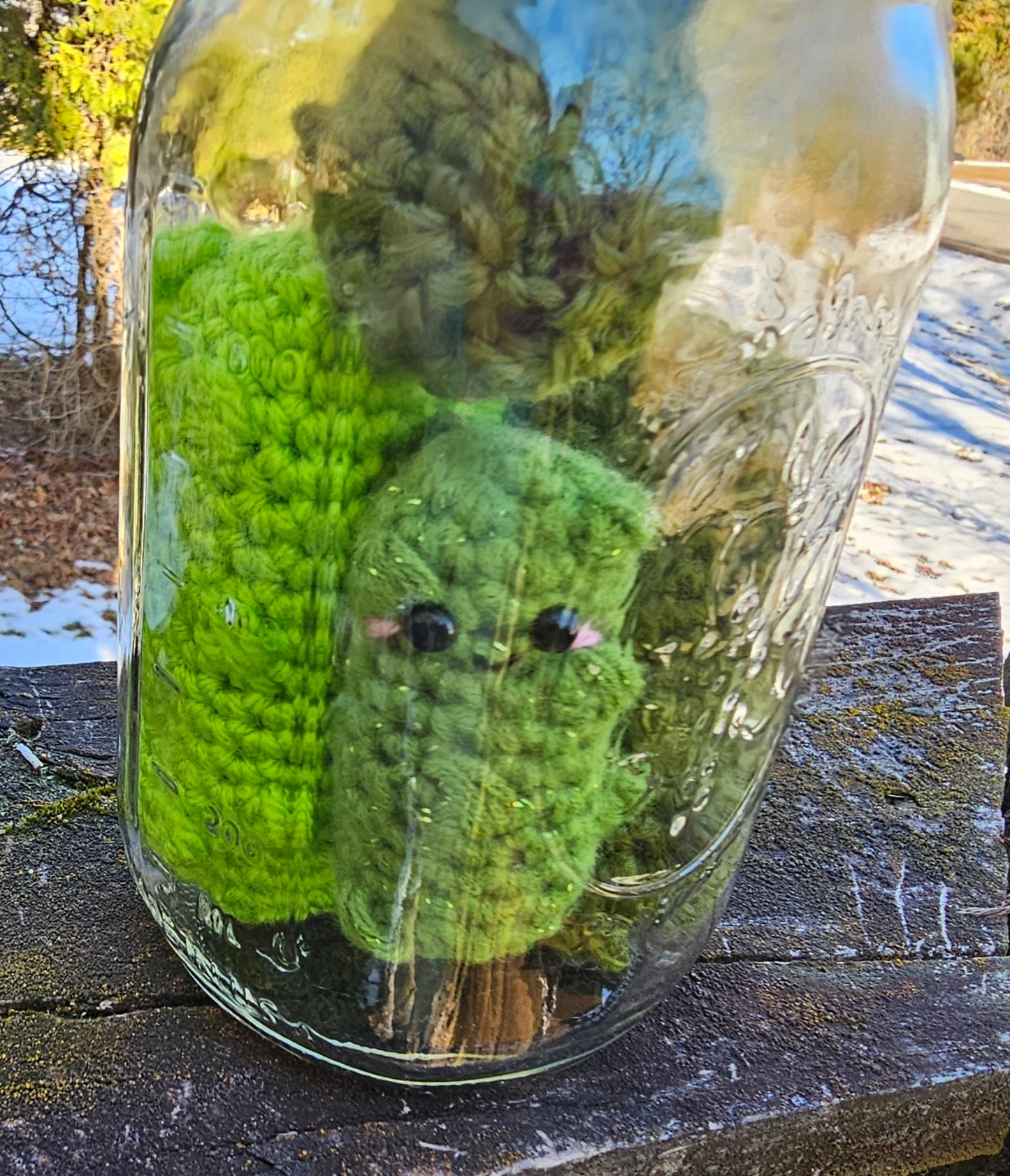 Canned Pickles