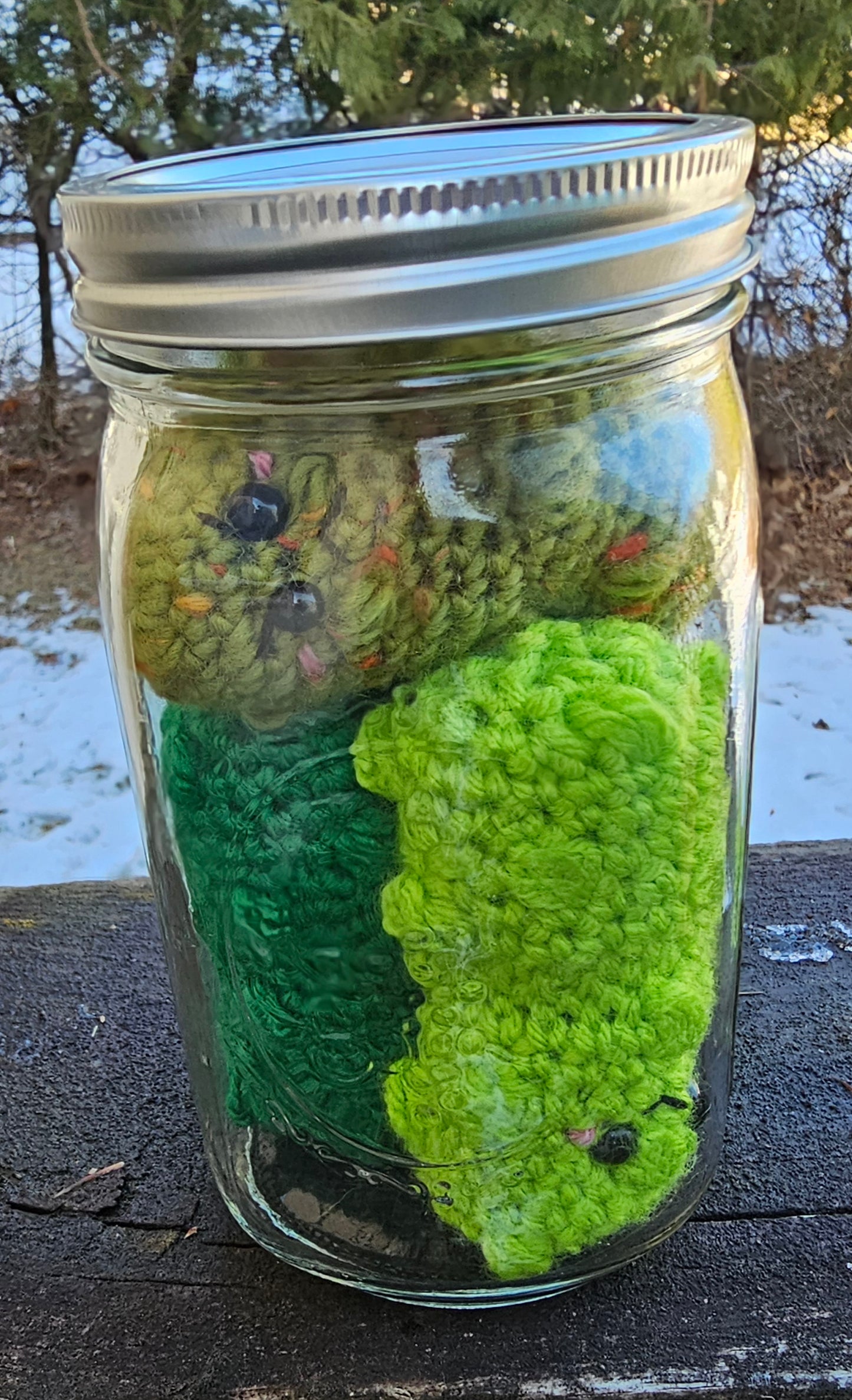 Canned Pickles